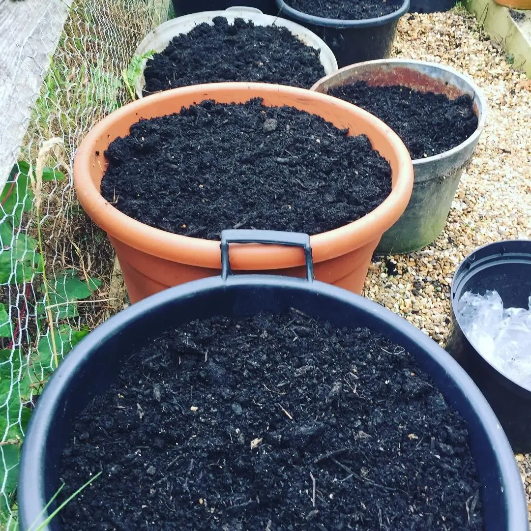 Premium Soil Conditioner - Bulk Bag - Image 3